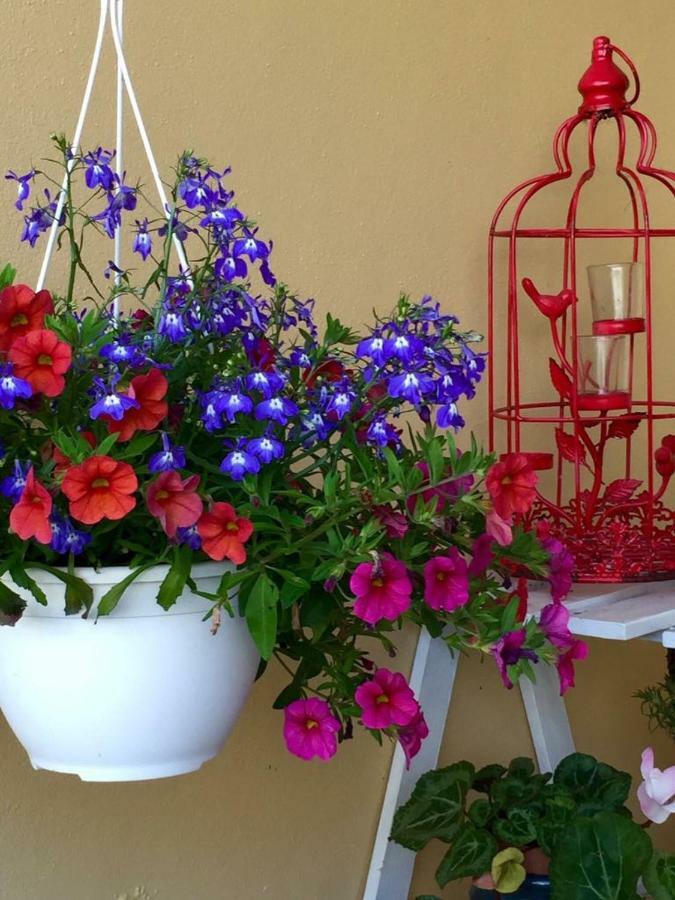 فيلا Casa De Ferias Josefa D'Óbidos المظهر الخارجي الصورة